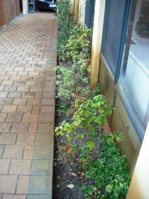 Canning Vale Building Inspection - Flower Beds