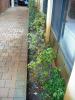 Canning Vale Building Inspection - Flower Beds