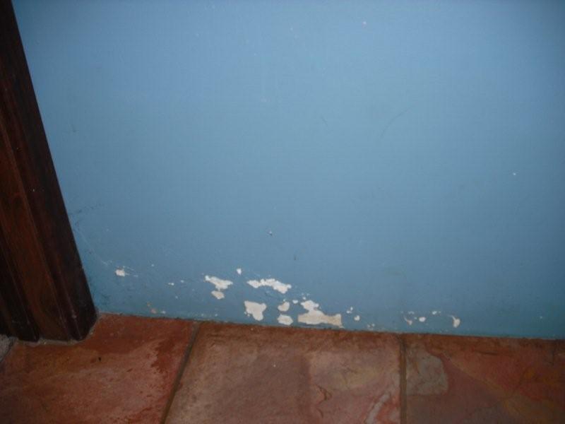 Wall Dampness - Ballajura Building Inspection Wall Dampness - Ballajura Building Inspection