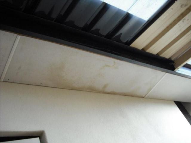 Kingsley Building Inspection - Water Stained Eaves